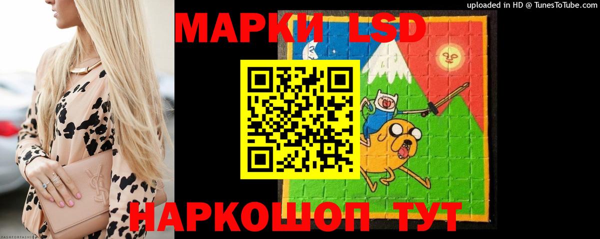 Альфа ПВП Моздок