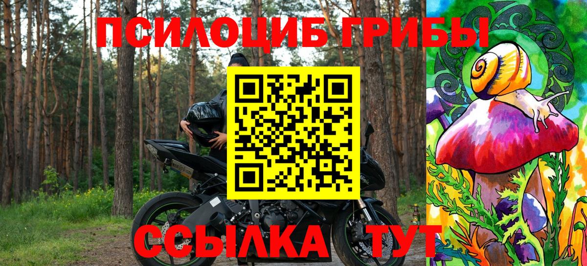 Моздок  Галлюциногенные грибы мухоморы  Вход с VPN 