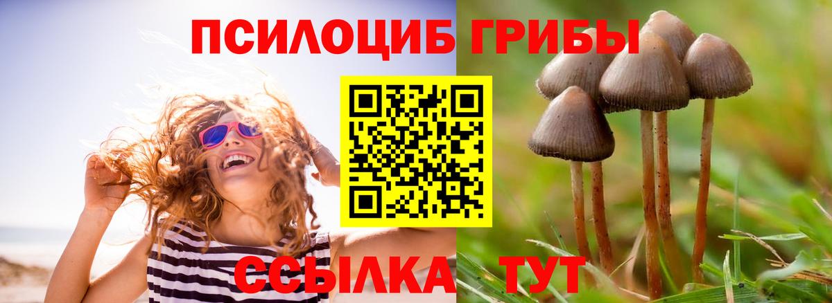 Псилоцибиновые грибы Magic Shrooms Моздок